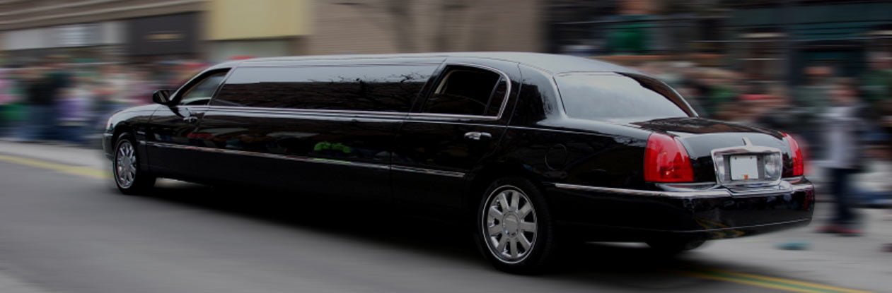 Are Limo Services Open?